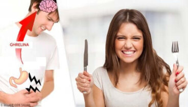 Ghréline : fonctions et mécanisme d'action