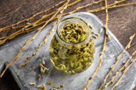 Yémothérapie : bienfaits et applications