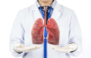 Les phases de la respiration