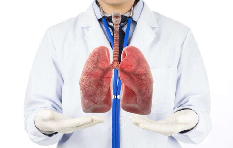 Les phases de la respiration