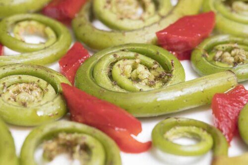 Pousses de fougère.