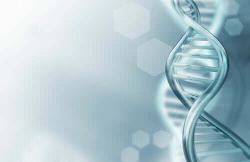 Tout ce que vous devez savoir sur l'ADN