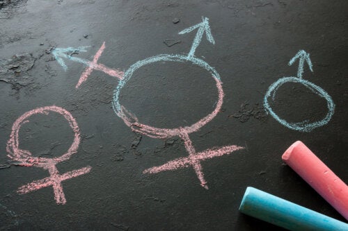 Qu'est-ce que l'intersexe ?