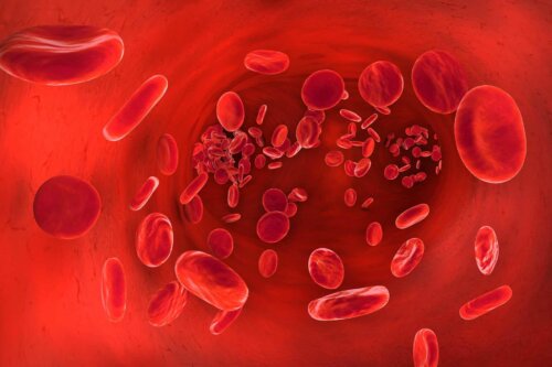 Globules rouges dans la circulation sanguine. 