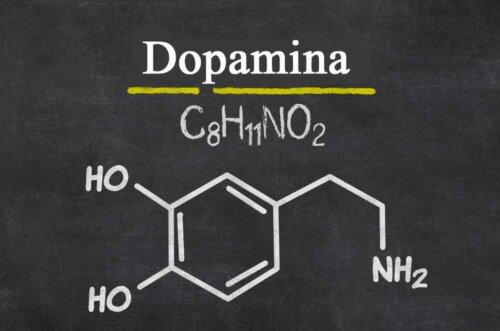 La dopamine.