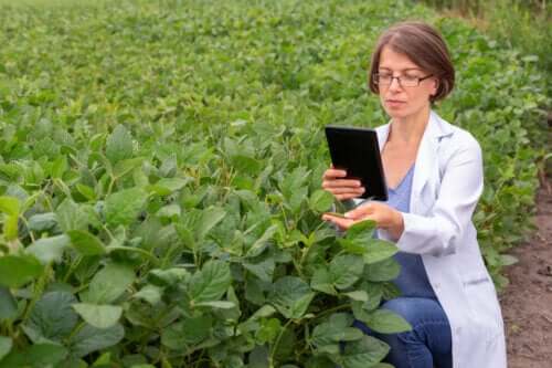 Hormones bio-identiques : bienfaits et risques possibles