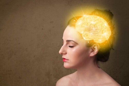 Curiosités sur le cerveau féminin