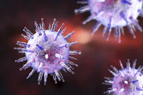Virus d'Epstein-Barr.