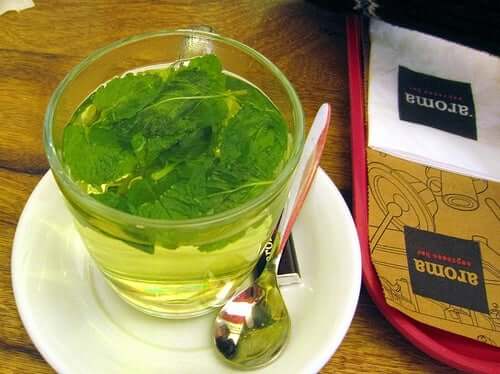 Infusion à la menthe.