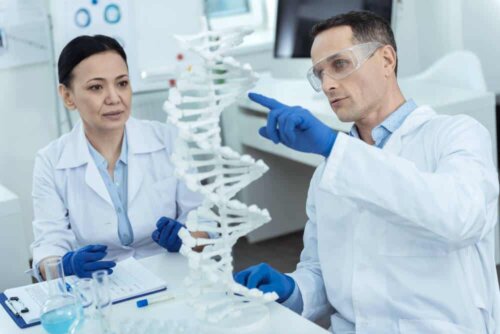 Des scientifiques en laboratoire.