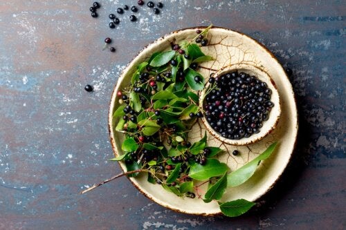 Baie de maqui : nutriments, bienfaits et utilisations