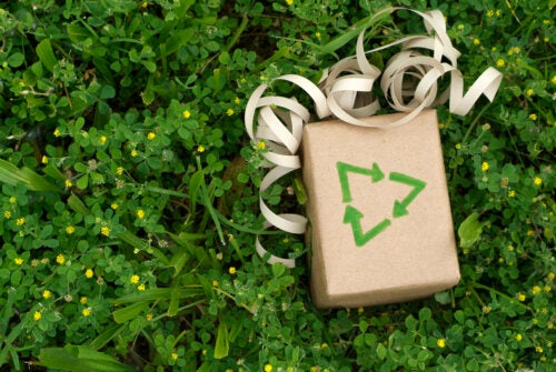 12 cadeaux éco-responsables à offrir à Noël