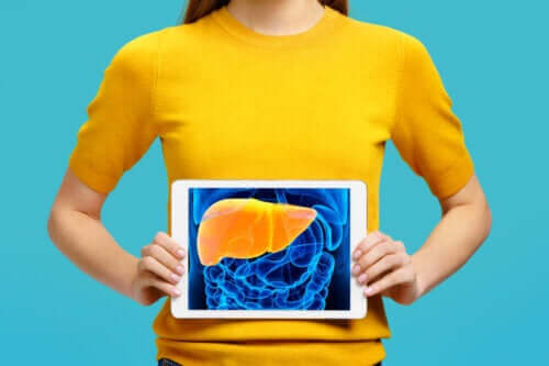 Élastographie : qu'est-ce que c'est et à quoi sert-elle ?