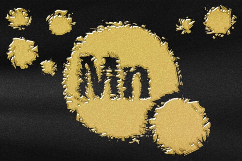 Manganèse : importance pour le corps et les aliments qui le fournissent