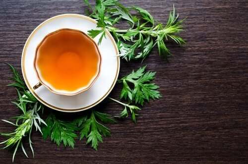 Infusion d'absynthe.