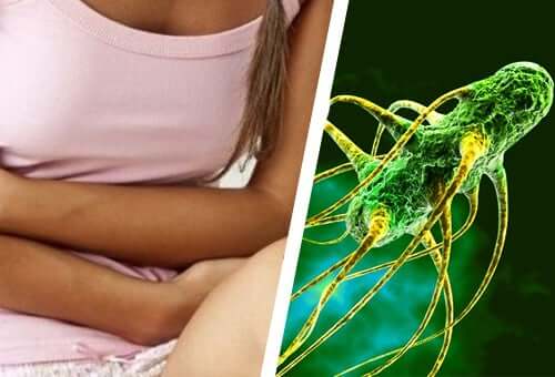 Comment traiter les salmonelles et E. coli naturellement ?