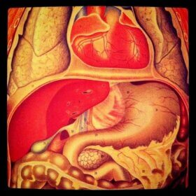 6 symptômes des vers intestinaux