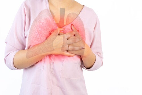 Remèdes à la maison pour traiter les bronches encombrées