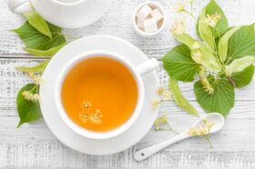 Tisane de tilleul : utilisations, bienfaits et contre-indications