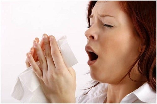 Clés pour les personnes allergiques à la poussière
