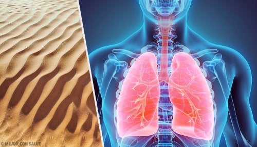 Silicose : maladie pulmonaire causée par la poussière de silice