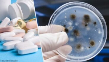 Traitement de la blastomycose