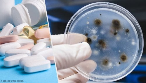 Traitement de la blastomycose