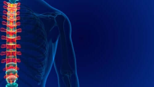 Angiome vertébral : causes, symptômes et traitement