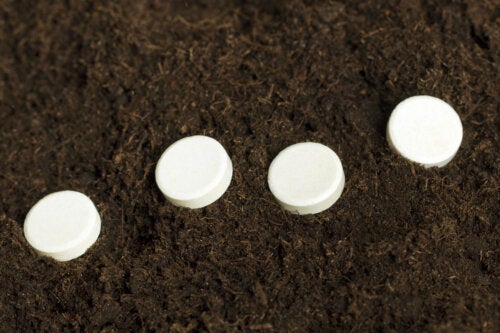 L'aspirine aide-t-elle les plantes à s'enraciner ?