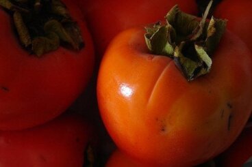 Kaki, source d'antioxydants