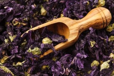 Boisson à la mauve pour maigrir : quels sont ses bienfaits ?