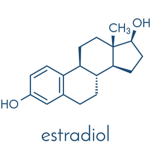Bénéfice des thérapies à l'estradiol après la ménopause