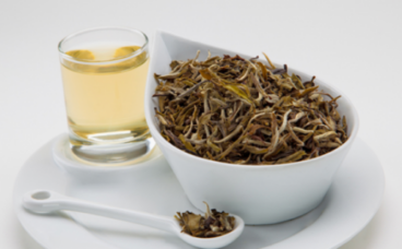 Le thé blanc, un allié pour maigrir ?