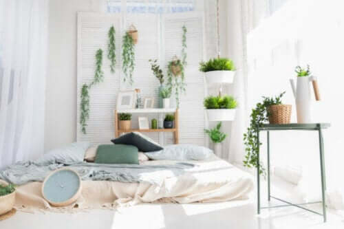 Est-il bon de dormir avec des plantes dans la chambre ?