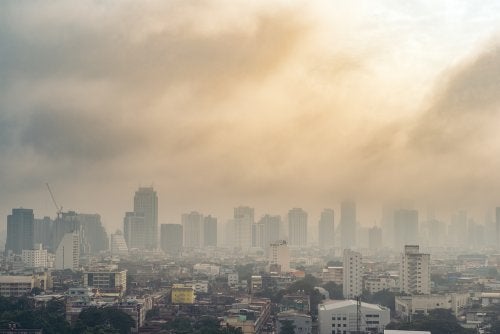 5 habitudes pour réduire les effets de la pollution sur le corps