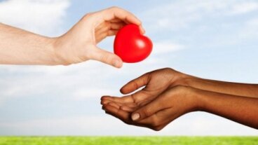 L'Espagne, leader mondial du don d'organes