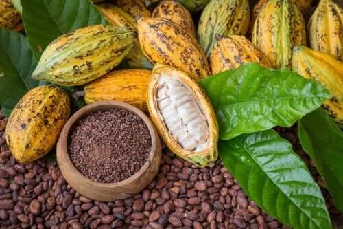 Le cacao, un aliment médicinal et un remède de beauté