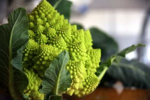 Chou romanesco : 3 façons simples de le préparer