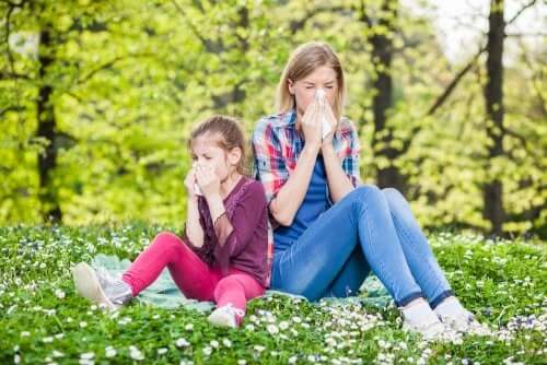 Les 4 meilleurs conseils contre les allergies respiratoires