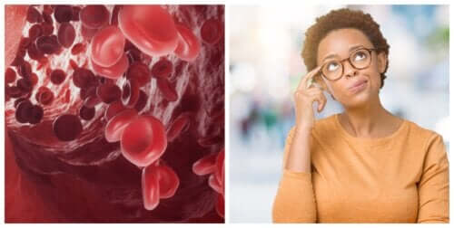 Quelle est la différence entre le sang veineux et le sang artériel ?