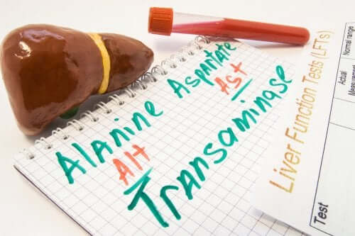 Taux de transaminases élevé : causes et traitement