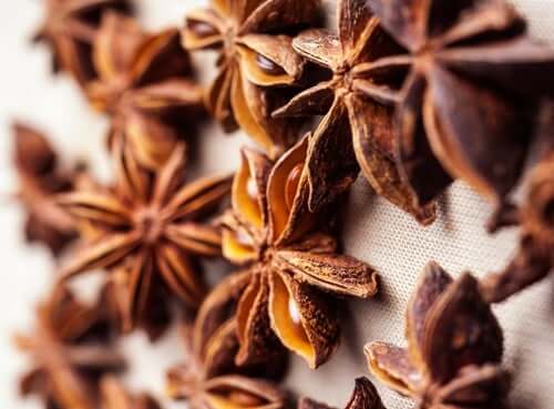 Anis et santé de l'estomac : comment sont-ils liés ?