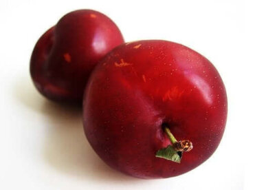 Tout ce que vous devez savoir sur la prune