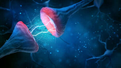 Élagage synaptique ou neuronal : pourquoi est-ce si important ?