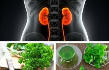4 infusions pour traiter les calculs rénaux