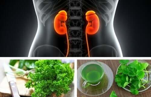 4 infusions pour traiter les calculs rénaux