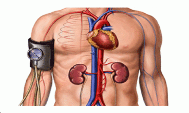 7 aliments qui aident à contrôler la tension artérielle