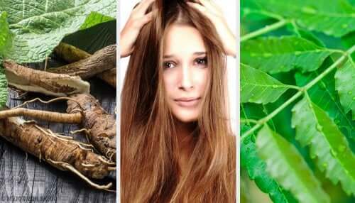 5 solutions à base de plantes pour éliminer les pellicules