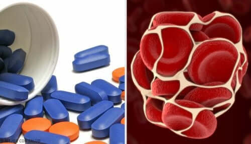 Acénocoumarol : mécanisme d'action et interactions