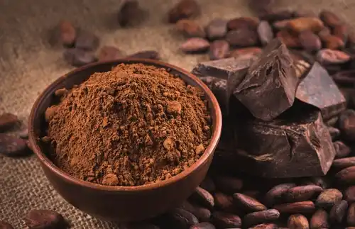 Cacao en poudre. 
